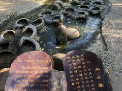 -成都市活水公园