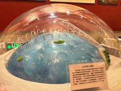 -哈尔滨工业大学-博物馆