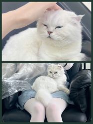 -FINE HAIR造型沙龙