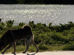 -风云岭森林公园