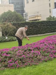 -中国福利会国际和平妇幼保健院(徐汇院区)