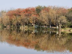 -菌竹轩酒楼(海河天街店)