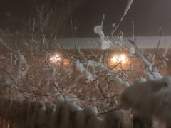 -陆地游轮吉林神农温泉