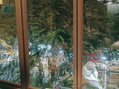靠窗位-野妹火锅(龙岗店)