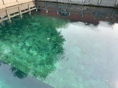 -百脉泉景区