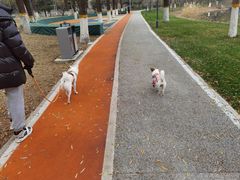 -中关村生命科学园