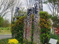 -东平国家森林公园