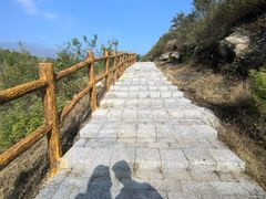 -白水寺森林公园