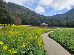 -广州市石门国家森林公园