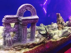 -MOJO密室逃脱(中街旗舰店)