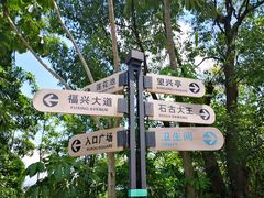 -神光山国家森林公园