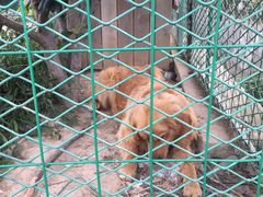 -呼吸森林·生态农庄农家乐私房菜