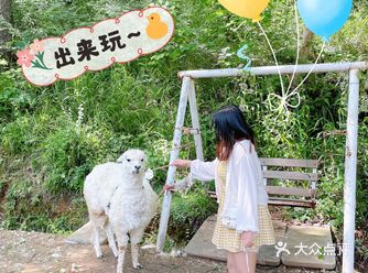几十块钱就能买到的快乐：诸仙洞野生动物园