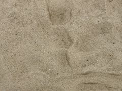 -那香海钻石沙滩浴场