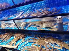 水产区-吉友粥底火锅(方斜路店)