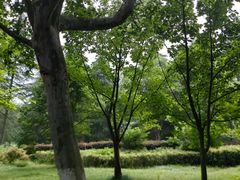 -宜兴龙背山森林公园