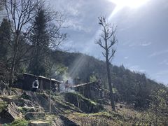 -鹿院坪生态旅游景区