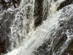 -莫里热带雨林景区