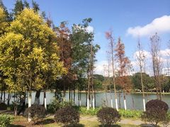 -东莞植物园