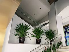-美可普口腔医院(东街分店)