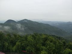 -蔡伦竹海