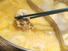 -椰子湾·海南火锅·糟粕醋·椰子鸡(正大广场店)