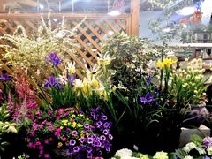 -双季花艺园艺市场(浦东店)