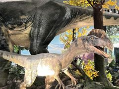 -湖南省地质博物馆