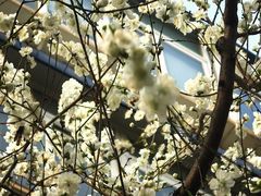 -龙湖星悦荟(颐和店)