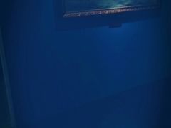 -印象莫奈时光映迹艺术展