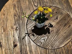 -月栖华明-云间草堂清茶馆(泗泾古镇店)