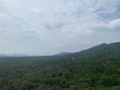 -灵谷景区