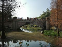 -云溪植物园