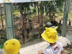 -泉州海丝野生动物世界