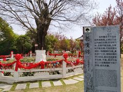 -东台西溪天仙缘景区
