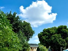 -三圣花乡旅游区