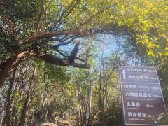 -紫金山山顶公园