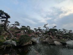 -罗红摄影艺术馆