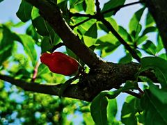 -龙吟九品(青龙山庄店)