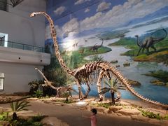 -自贡恐龙博物馆