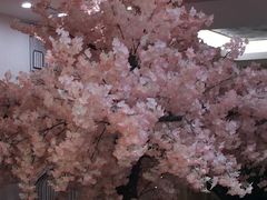 -汤里来温泉