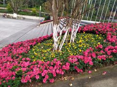 -重庆工商大学(南岸校区)