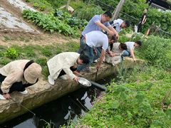 -石塘人家