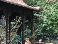 -都江堰普照寺