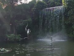 -碧江金楼