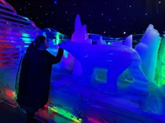 -厦门方特梦幻王国