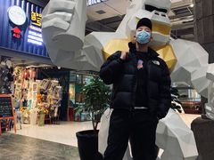 -上海明天广场JW万豪酒店