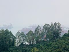-小南山公园