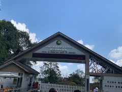 -中国大熊猫保护研究中心雅安碧峰峡基地