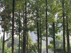 -成都南湖公园